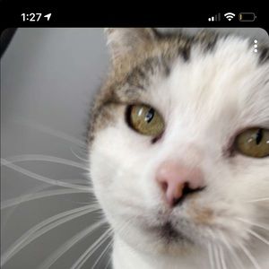 Meet your Posher, Steve